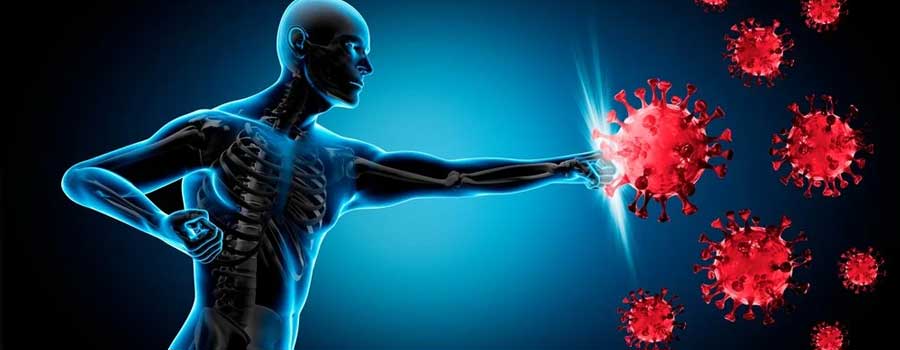 hogyan-segitsuk-immunrendszerunket-redpower-blog