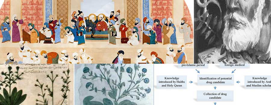 gyogynovenyes-orvoslas-redpower-tudasbazis-kiemelt