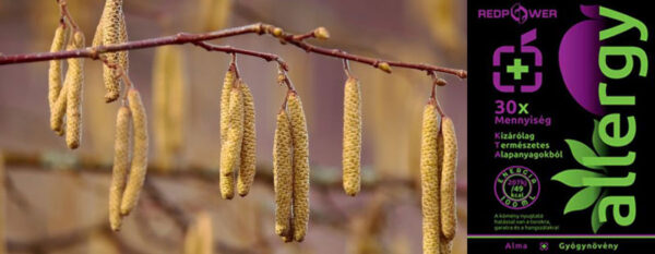 mogyoro-allergia-redpower-blog-2023-02-20 mogyoro-allergia-redpower-blog-2023-02-20